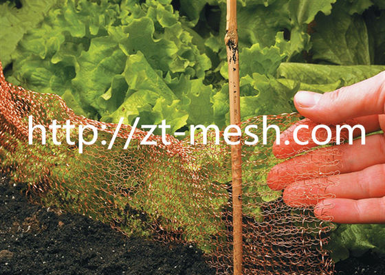 Lưới dây hàn mạ kẽm với vết thương xoắn ốc bề mặt kiểu phẳng và sóng