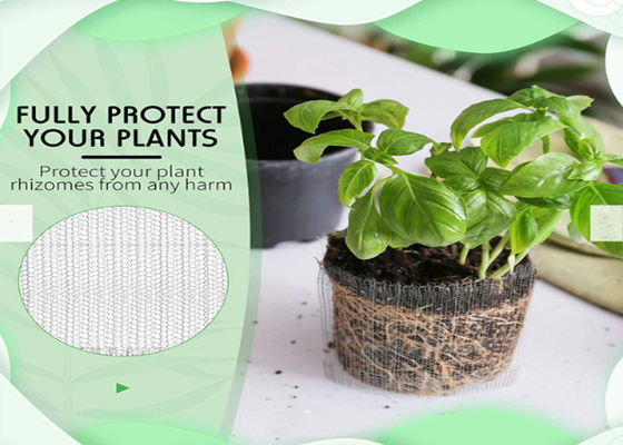 Đan Rọ Gopher Gopher Rễ Đồng Đường kính 0,12mm